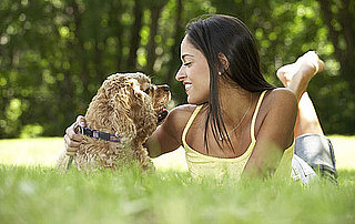 Gift Ideas That Are Dog Breed Specific