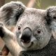 cuddlebear1025