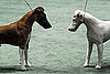 Smooth Fox Terrier Breed Facts