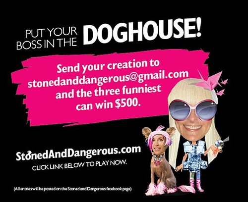 BRIDES Get Stoned and Dangerous!