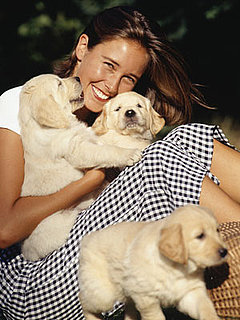 Do You Follow a Breeder, Vet or Daycare on Facebook?