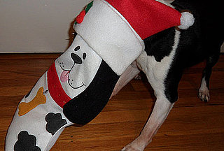 Pictures of Dogs Opening Presents