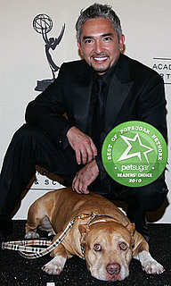 Cesar Millan's Pit Bull Daddy Died