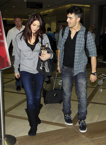 Ashley Greene Has Two Cute Travel Companions Post-Holidays Ashley Greene Has Two Cute Travel Companions Post-Holidays