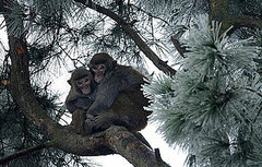 Baby, It's Really Cold Outside!