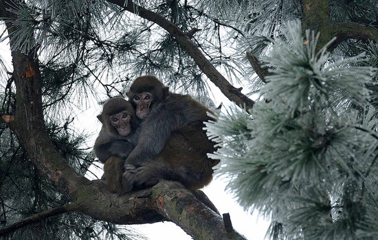 Baby, It's Really Cold Outside! Baby, It's Really Cold Outside!