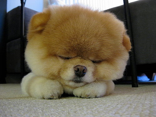Sleepy Time Sleepy Time
