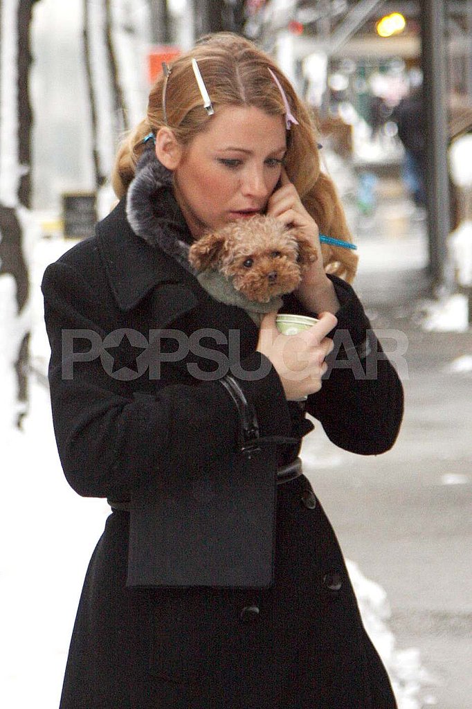 Blake Lively Warms Up to Her Pup on the Gossip Girl Set Blake Lively Warms Up to Her Pup on the Gossip Girl Set