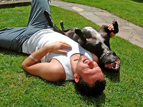 Who's cuter? Who's cuter?