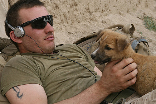 Who's cuter? Who's cuter?
