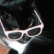 Catsparella