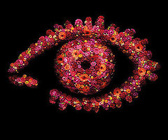 Poll on Big Brother Return to TV on Channel 5 Poll on Big Brother Return to TV on Channel 5
