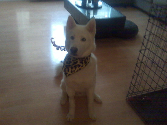 My Son Kabir!! 