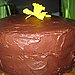 Chocolate Layer Cake