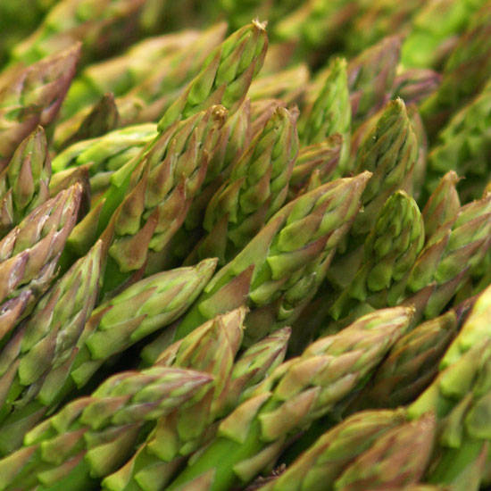 Asparagus Asparagus