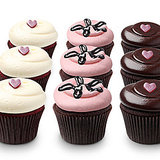 Georgetown Cupcake Chocolate Ganache Cupcake Recipe Georgetown Cupcake Chocolate Ganache Cupcake Recipe