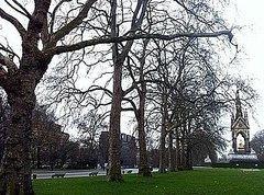 Burberry to Show Autumn Collection in Kensington Gardens Burberry to Show Autumn Collection in Kensington Gardens