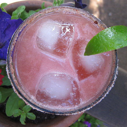Margarita Recipes