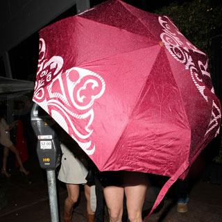 Guess Who's Taking Refuge Under an Umbrella?