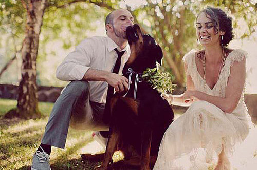 This foliage-adorned dog looks like he's having a grand ol' time at this wedding.
Photo by Traci Griffin Photography
This foliage-adorned dog looks like he's having a grand ol' time at this wedding.
Photo by Traci Griffin Photography
