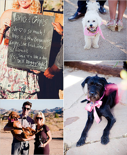 Check out all the festively dressed dogs in this wedding!
Photo by Love Me Sailor
Check out all the festively dressed dogs in this wedding!
Photo by Love Me Sailor