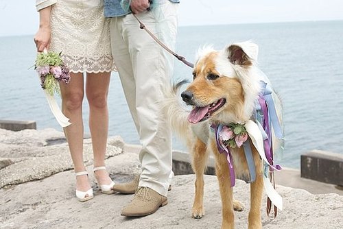 For this secret wedding, the pup was outfitted in ribbons.
Photo by Simply Jessie Photography
For this secret wedding, the pup was outfitted in ribbons.
Photo by Simply Jessie Photography