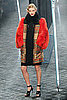 Fall 2011 Paris Fashion Week: Sonia Rykiel