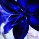 liliblu