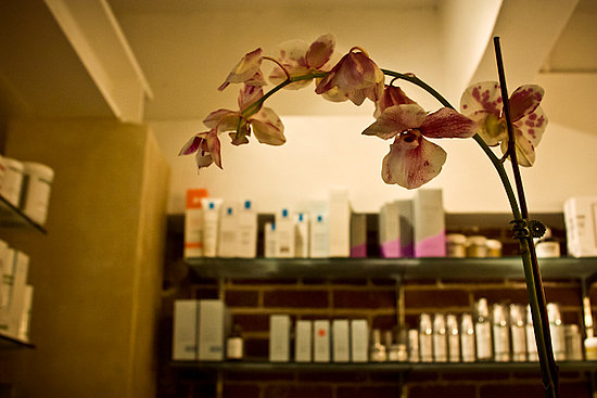MedEstheticsRX: Studious Skin Care That's More Than Skin Deep