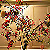 Free Baby Shower Downloads 2009-05-08 05:00:00