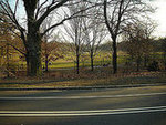 Prospect Park Path