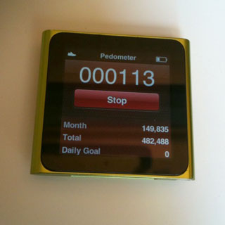 Do You Wear a Pedometer Daily?