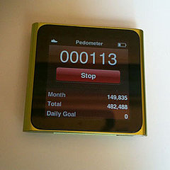 Do You Wear a Pedometer Daily?