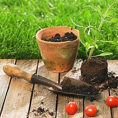 Gardening Apps, Easter DIYs