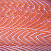 Types of Salmon Species