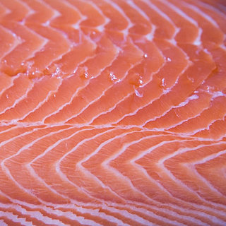 Types of Salmon Species
