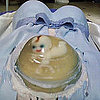 Photos of Crazy Baby Shower Cakes