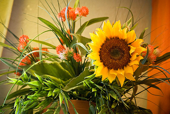 Juin Organique: An Elegant Resort in an Urban Setting