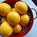 Meyer Lemon