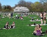 Sheep Meadow at Central Park