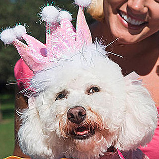 How to Celebrate a Pet's Birthday