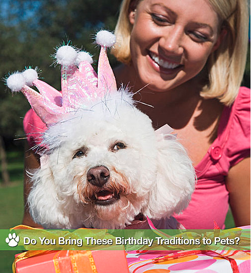 How to Celebrate a Pet's Birthday