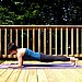 Dolphin Plank