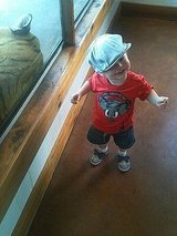 A Day At The Zoo