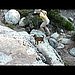 Fourth of July Camping Trip