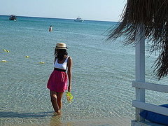 Summer Breeze