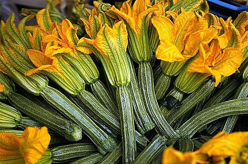 What to Buy: Zucchini Squash What to Buy: Zucchini Squash