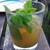 Best Mojito Recipes Best Mojito Recipes