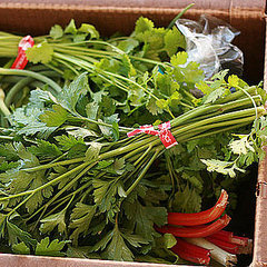 Tips for Shopping at the Farmers Market