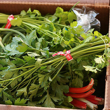 Tips for Shopping at the Farmers Market